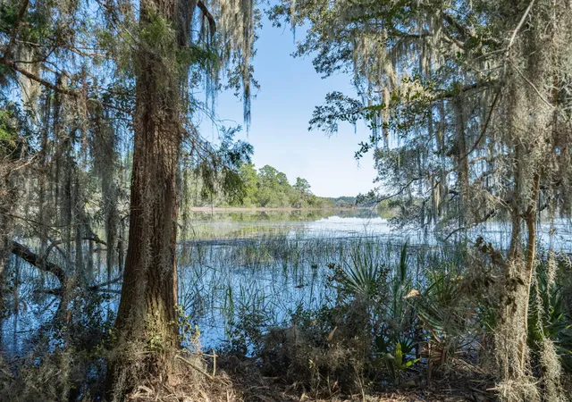 Photo 3 of Land for sale at 501 Paige Point Rd, Seabrook, SC 29940 | MLS# 26027695 | Listing updated on 2026-10-07