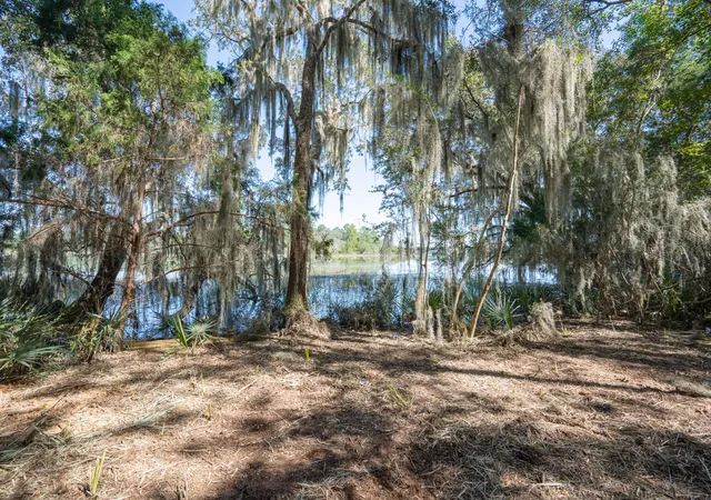 Photo 4 of Land for sale at 501 Paige Point Rd, Seabrook, SC 29940 | MLS# 26027695 | Listing updated on 2026-10-07
