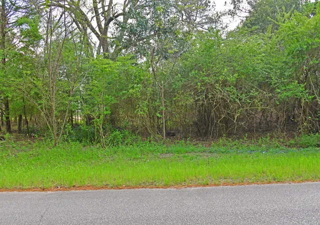 Photo 1 of Land for sale at 0 Ridgelake(lot 23 B) Cir, Saint Matthews, SC 29135 | MLS# 26027998 | Listing updated on 2026-10-09
