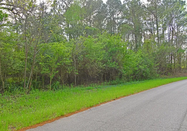 Photo 2 of Land for sale at 0 Ridgelake(lot 23 B) Cir, Saint Matthews, SC 29135 | MLS# 26027998 | Listing updated on 2026-10-09