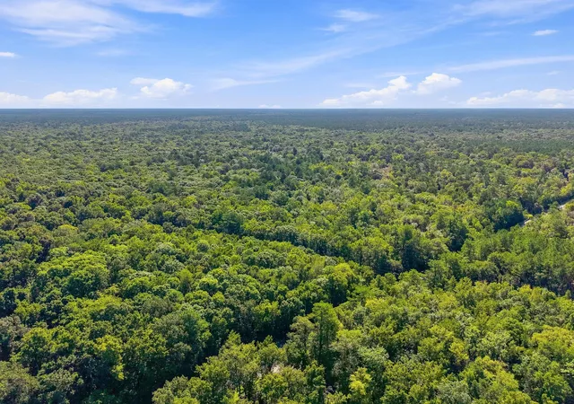 Photo 3 of Land for sale at 3796 Highway 402, Cordesville, SC 29434 | MLS# 26025221 | Listing updated on 2026-09-08