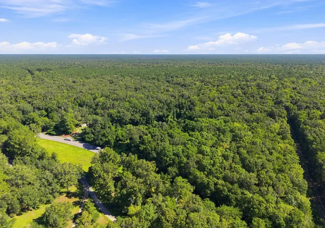 Photo 4 of Land for sale at 3796 Highway 402, Cordesville, SC 29434 | MLS# 26025221 | Listing updated on 2026-09-08