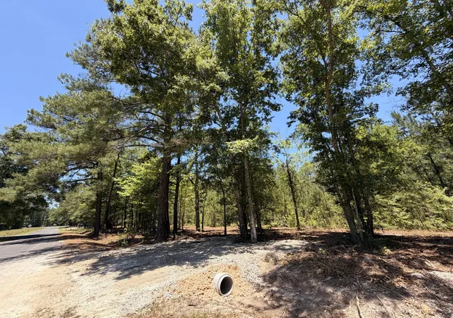 Photo 1 of Sale Pending at 00000 Tumbleweed Rd, Smoaks, SC 29481 | MLS# 26027934 | Listing updated on 2026-10-18