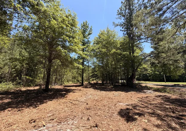Photo 3 of Sale Pending at 00000 Tumbleweed Rd, Smoaks, SC 29481 | MLS# 26027934 | Listing updated on 2026-10-18