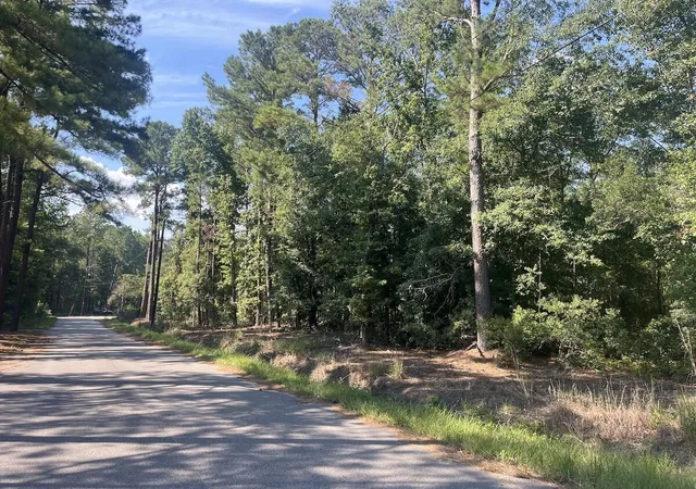 Photo 3 of Land for sale at 0 Fraser St, Walterboro, SC 29488 | MLS# 26024855 | Listing updated on 2026-09-21