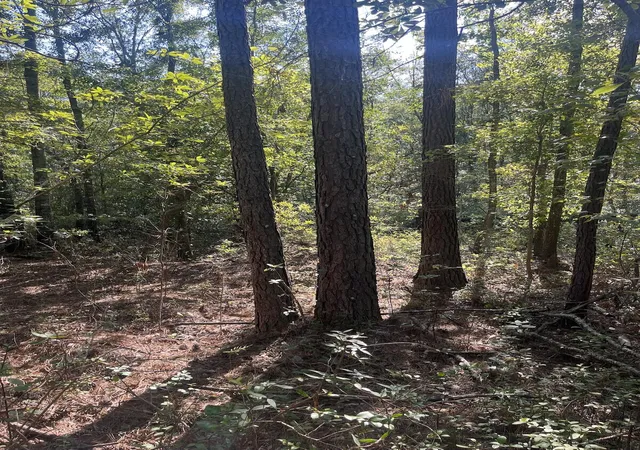Photo 4 of Land for sale at 0 Fraser St, Walterboro, SC 29488 | MLS# 26024855 | Listing updated on 2026-09-21