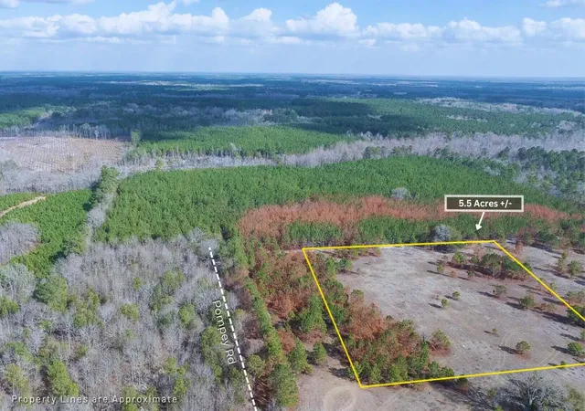 Land for sale at 5 Pompey Rd, Manning, SC 29102 | MLS# 26025101