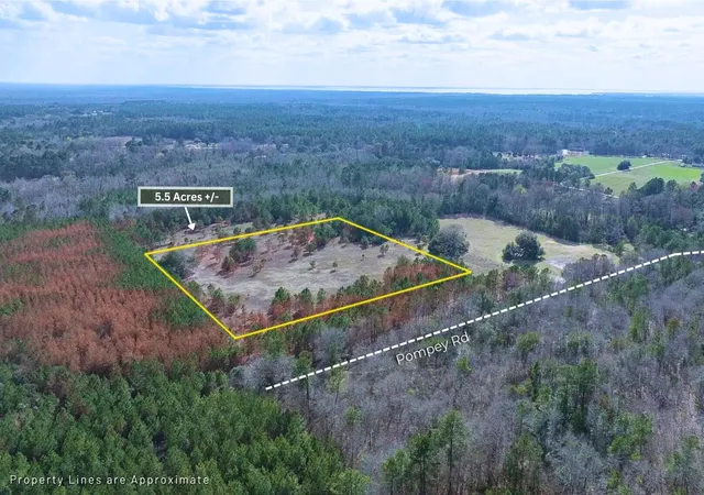 Photo 3 of Land for sale at 5 Pompey Rd, Manning, SC 29102 | MLS# 26025101 | Listing updated on 2026-10-02