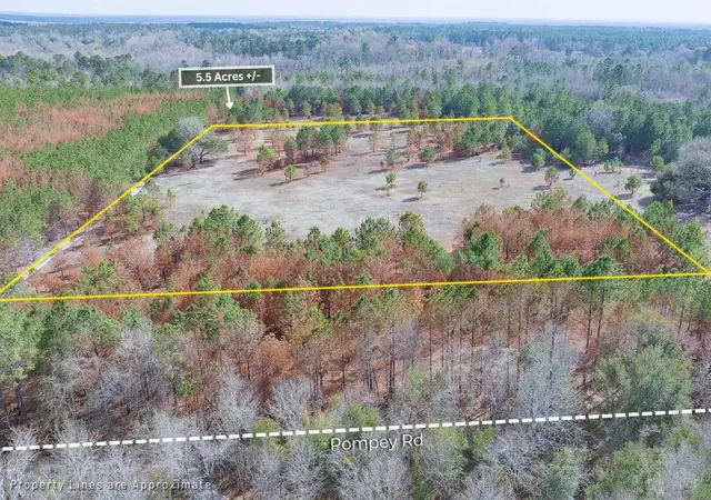 Photo 3 of Land for sale at 5 Pompey Rd, Manning, SC 29102 | MLS# 26025101 | Listing updated on 2026-10-02