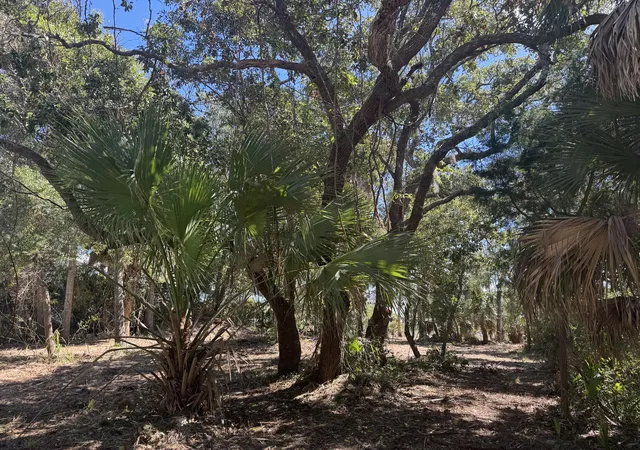 Photo 1 of Land for sale at 211 Lilly St, Edisto Island, SC 29438 | MLS# 26026824 | Listing updated on 2026-09-26
