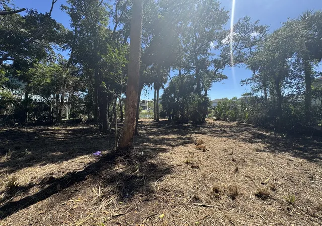 Photo 3 of Land for sale at 211 Lilly St, Edisto Island, SC 29438 | MLS# 26026824 | Listing updated on 2026-09-26