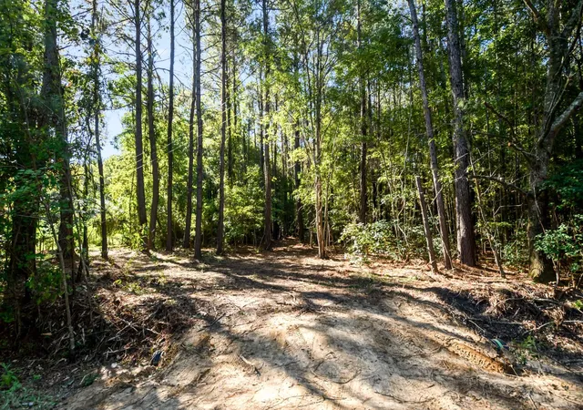 Photo 3 of Land for sale at 3727 Humbert Rd, Johns Island, SC 29455 | MLS# 26027381 | Listing updated on 2026-10-02