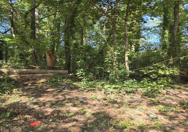 Land for sale at 840 Nance St, Orangeburg, SC 29115 | MLS# 26025384