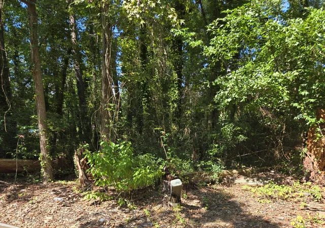 Photo 3 of Land for sale at 840 Nance St, Orangeburg, SC 29115 | MLS# 26025384 | Listing updated on 2026-09-15