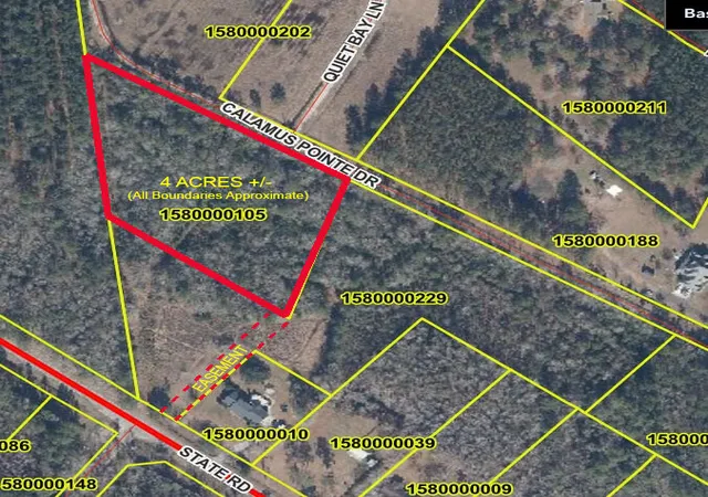 Photo 1 of Land for sale at 0 Us 176 Hwy, Summerville, SC 29486 | MLS# 26024990 | Listing updated on 2026-09-05