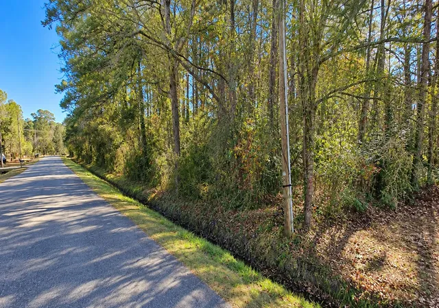 Photo 2 of Land for sale at 4161 Pageland St, Conway, SC 29526 | MLS# 26025986 | Listing updated on 2026-09-17
