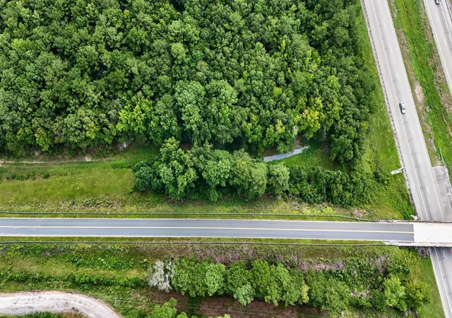 Photo 3 of Land for sale at 0000 Hamilton Rd, Manning, SC 29102 | MLS# 26028109 | Listing updated on 2026-10-12