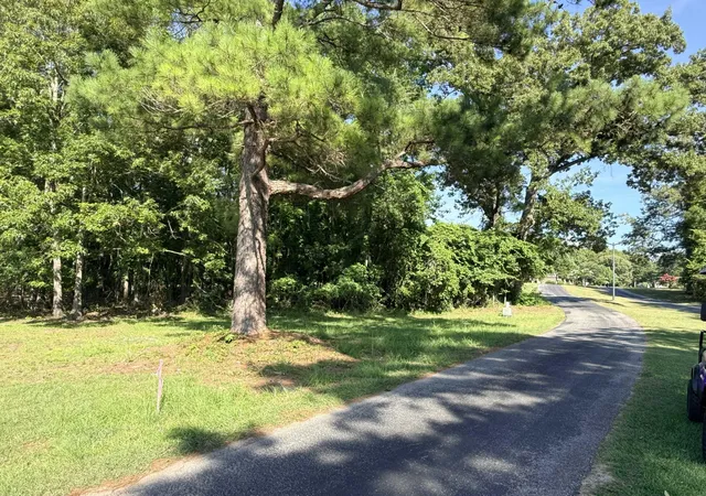 Photo 3 of Land for sale at 72 Ridge Lake Dr, Manning, SC 29102 | MLS# 26027839 | Listing updated on 2026-10-09