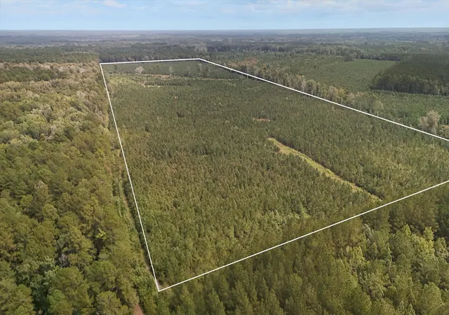 Photo 1 of Land for sale at 000 Augusta Hwy, Smoaks, SC 29481 | MLS# 26026799 | Listing updated on 2026-10-19