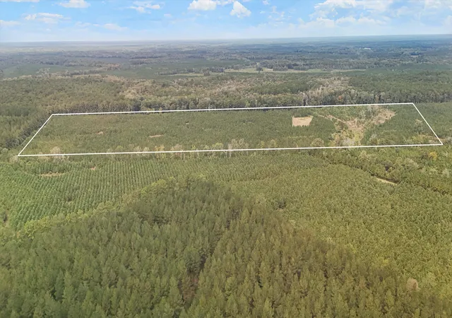 Photo 3 of Land for sale at 000 Augusta Hwy, Smoaks, SC 29481 | MLS# 26026799 | Listing updated on 2026-10-19