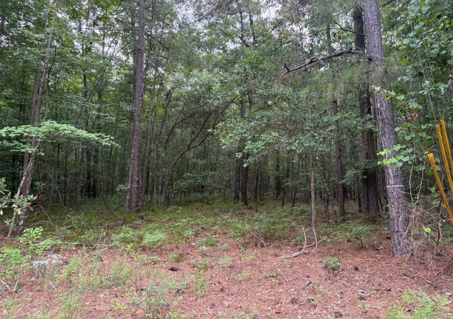 Photo 3 of Land for sale at 0 Aaron Ln, Summerville, SC 29485 | MLS# 26025565 | Listing updated on 2026-09-11