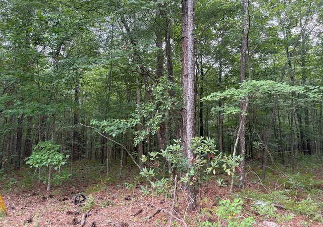 Photo 3 of Land for sale at 0 Aaron Ln, Summerville, SC 29485 | MLS# 26025565 | Listing updated on 2026-09-11
