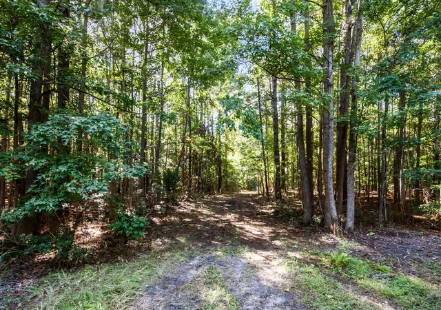 Land for sale at 3745 Humbert Rd, Johns Island, SC 29455 | MLS# 26027382