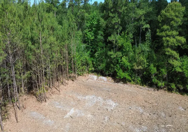 Photo 2 of Land for sale at 3 Highway 311, Cross, SC 29436 | MLS# 26025760 | Listing updated on 2026-10-09