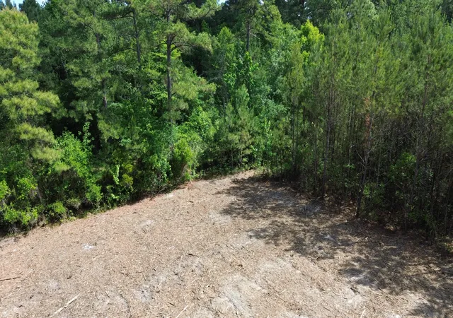 Photo 3 of Land for sale at 3 Highway 311, Cross, SC 29436 | MLS# 26025760 | Listing updated on 2026-10-09