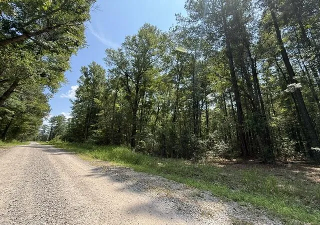 Photo 1 of Land for sale at 0000 Log Cabin Ln, Smoaks, SC 29481 | MLS# 26026861 | Listing updated on 2026-09-27