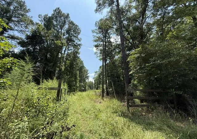 Photo 3 of Land for sale at 0000 Log Cabin Ln, Smoaks, SC 29481 | MLS# 26026861 | Listing updated on 2026-09-27