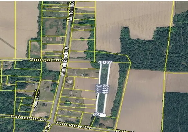 Land for sale at 0 Murrell Block Dr, Pineville, SC 29468 | MLS# 26024751