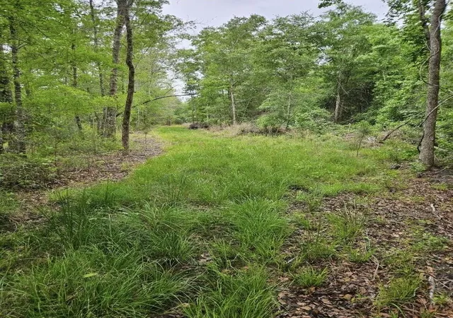 Photo 1 of Land for sale at 1300 Misty Ridge Ln, Walterboro, SC 29488 | MLS# 26025651 | Listing updated on 2026-10-02