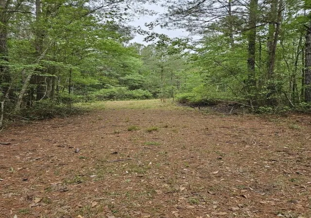 Photo 2 of Land for sale at 1300 Misty Ridge Ln, Walterboro, SC 29488 | MLS# 26025651 | Listing updated on 2026-10-02