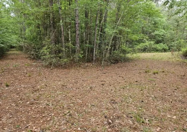 Photo 3 of Land for sale at 1300 Misty Ridge Ln, Walterboro, SC 29488 | MLS# 26025651 | Listing updated on 2026-10-02