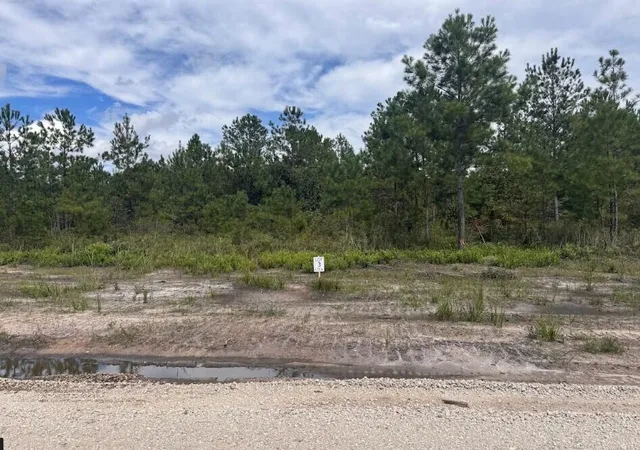 Photo 1 of Land for sale at Lot 3 Walker Rd, Ridgeville, SC 29472 | MLS# 26025040 | Listing updated on 2026-09-22