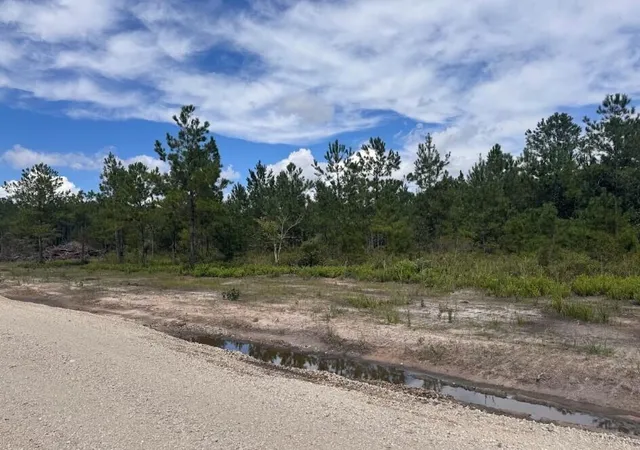 Photo 3 of Land for sale at Lot 3 Walker Rd, Ridgeville, SC 29472 | MLS# 26025040 | Listing updated on 2026-09-22