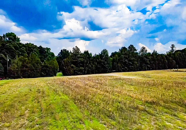 Photo 1 of Land for sale at 0 B Mt Carmel Rd, Walterboro, SC 29488 | MLS# 26026527 | Listing updated on 2026-09-23