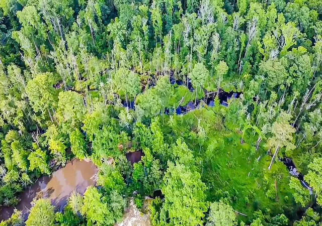 Photo 2 of Land for sale at 0 B Mt Carmel Rd, Walterboro, SC 29488 | MLS# 26026527 | Listing updated on 2026-09-23