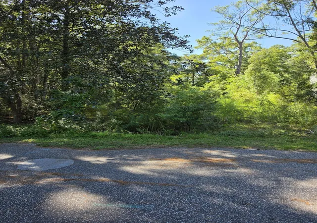 Photo 1 of Land for sale at 206 Foster St, Summerville, SC 29483 | MLS# 26026952 | Listing updated on 2026-09-28