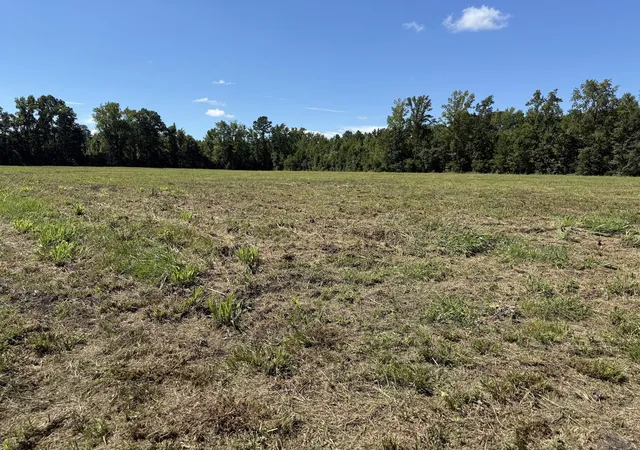 Photo 2 of Land for sale at 15844 Ace Basin (lot #3) Pkwy, Round O, SC 29474 | MLS# 26027666 | Listing updated on 2026-10-07