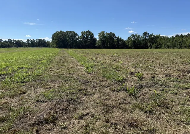 Photo 3 of Land for sale at 15844 Ace Basin (lot #3) Pkwy, Round O, SC 29474 | MLS# 26027666 | Listing updated on 2026-10-07