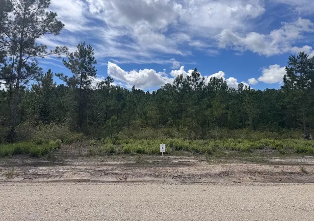 Photo 1 of Land for sale at Lot 4 Walker Rd, Ridgeville, SC 29472 | MLS# 26025042 | Listing updated on 2026-09-22