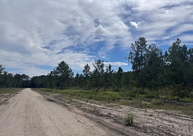 Photo 3 of Land for sale at Lot 4 Walker Rd, Ridgeville, SC 29472 | MLS# 26025042 | Listing updated on 2026-09-22