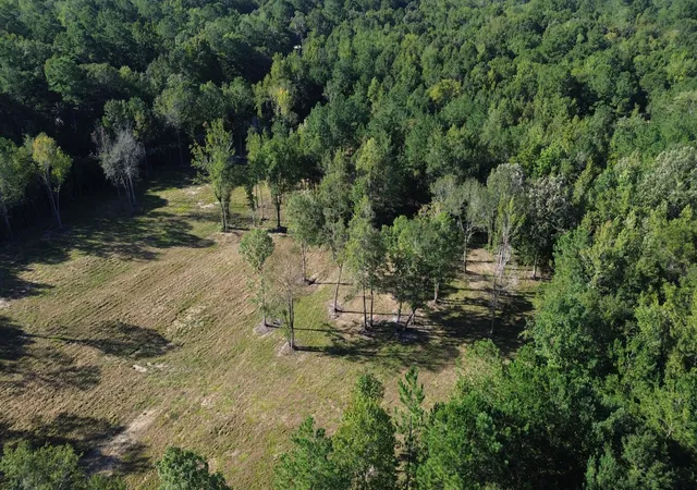 Photo 2 of Land for sale at 727 Crystal Lake, Huger, SC 29450 | MLS# 26027077 | Listing updated on 2026-10-07
