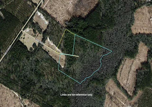 Photo 2 of Land for sale at 202 Alford Pl, Walterboro, SC 29488 | MLS# 26025470 | Listing updated on 2026-09-10