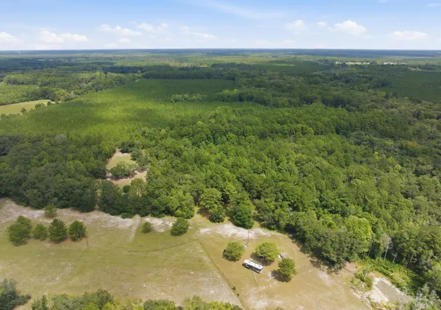 Photo 3 of Land for sale at 202 Alford Pl, Walterboro, SC 29488 | MLS# 26025470 | Listing updated on 2026-09-10