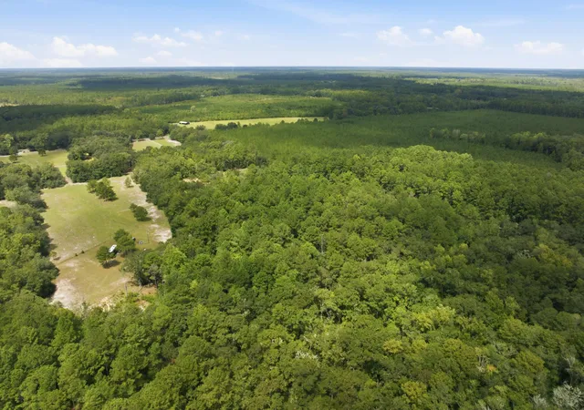 Photo 3 of Land for sale at 202 Alford Pl, Walterboro, SC 29488 | MLS# 26025470 | Listing updated on 2026-09-10