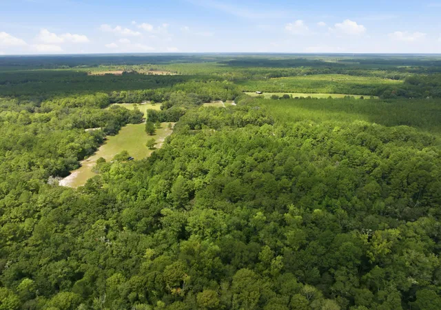 Photo 4 of Land for sale at 202 Alford Pl, Walterboro, SC 29488 | MLS# 26025470 | Listing updated on 2026-09-10