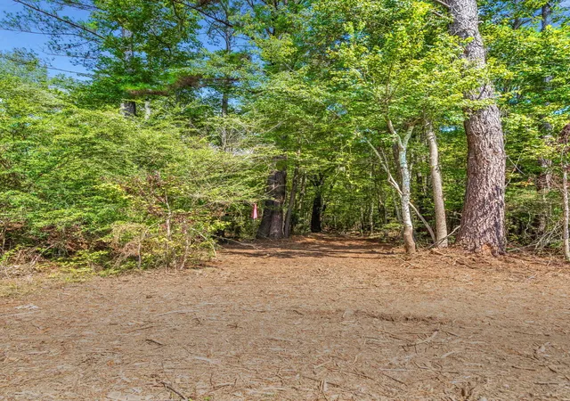 Photo 3 of Land for sale at 0 Campbell Rd, Ridgeville, SC 29472 | MLS# 26026325 | Listing updated on 2026-10-04